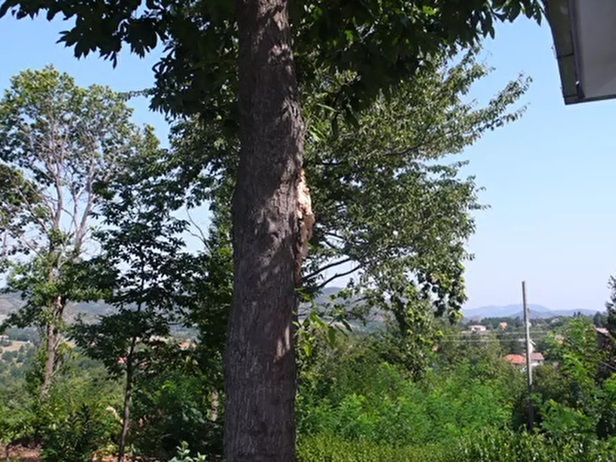 Immagine 15 di Casa bifamiliare in vendita  a Sassello