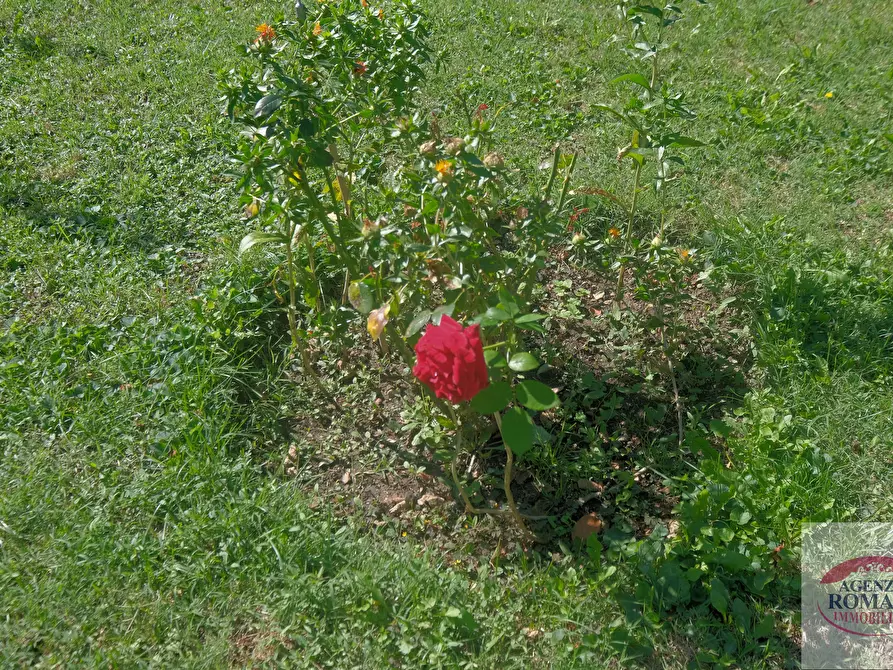 Immagine 12 di Villa in vendita  in Località Poggio 2 a Sassello