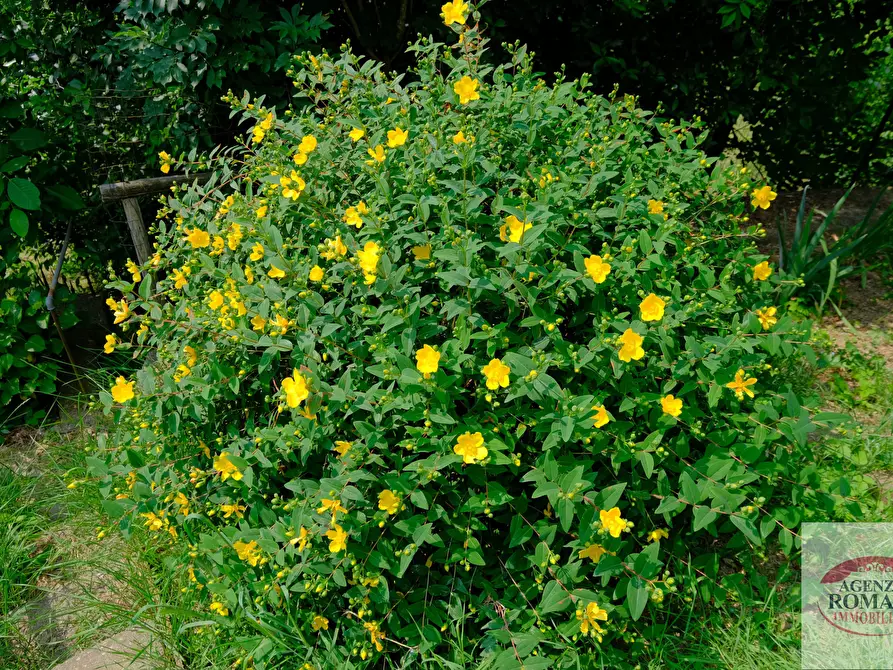 Immagine 20 di Casa indipendente in vendita  in Frazione Cimaferle 213 a Ponzone