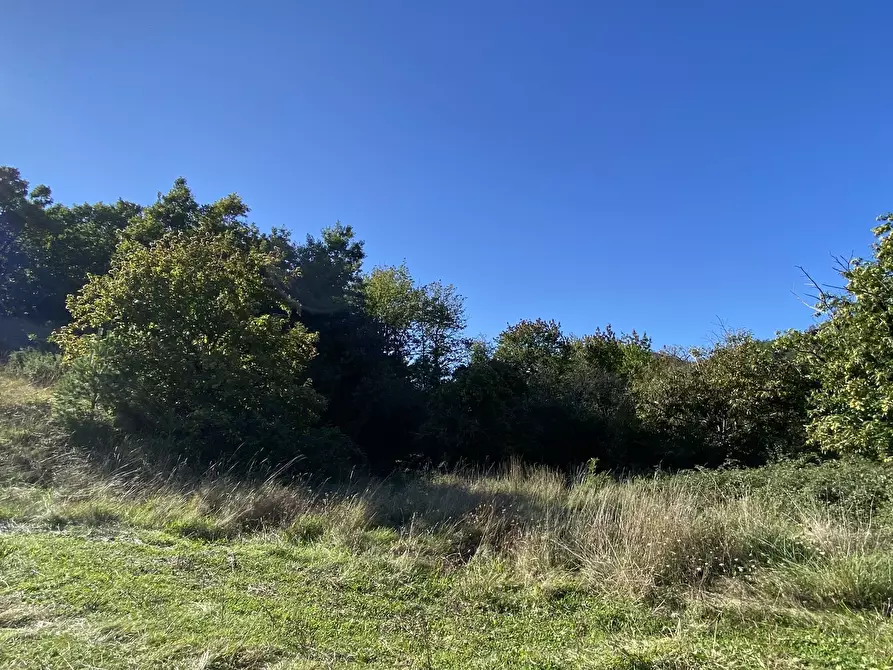 Immagine 22 di Casa indipendente in vendita  in Località Chiapuzzo 8 a Sassello