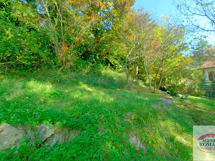 Immagine 18 di Casa indipendente in vendita  in Località la Pineta 27 a Pontinvrea