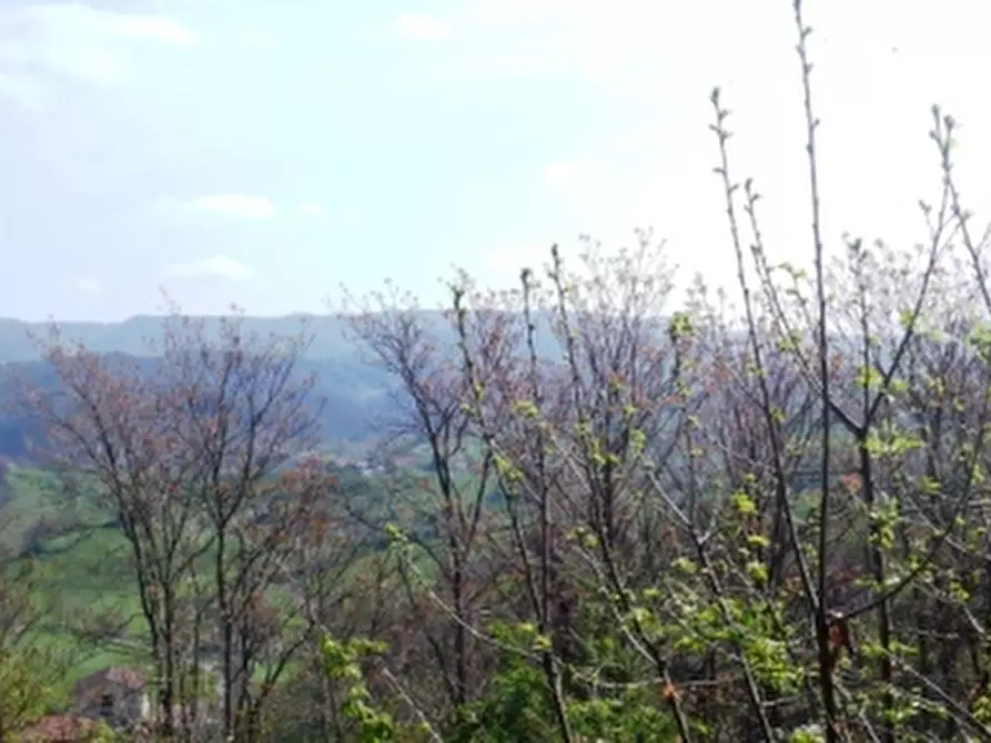 Immagine 23 di Casa indipendente in vendita  a Sassello