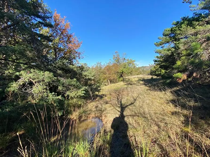 Immagine 13 di Rustico / casale in vendita  in Loc Ormei a Ponzone