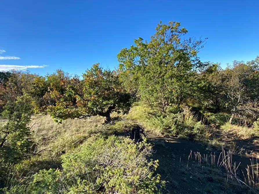 Immagine 15 di Rustico / casale in vendita  in Loc Ormei a Ponzone
