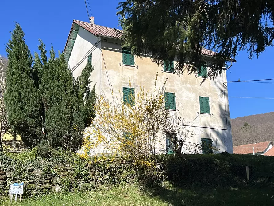 Immagine 2 di Rustico / casale in vendita  a Urbe