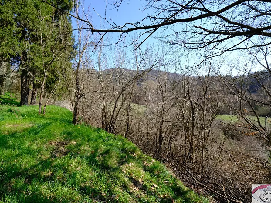 Immagine 35 di Rustico / casale in vendita  in SP216 6 a Pareto