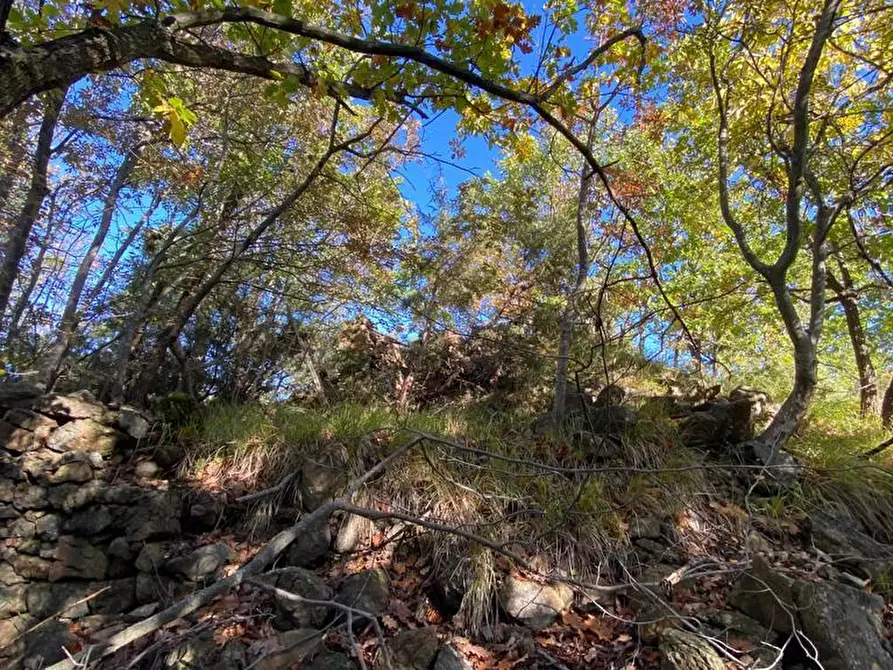 Immagine 5 di Rustico / casale in vendita  in Loc Ormei a Ponzone