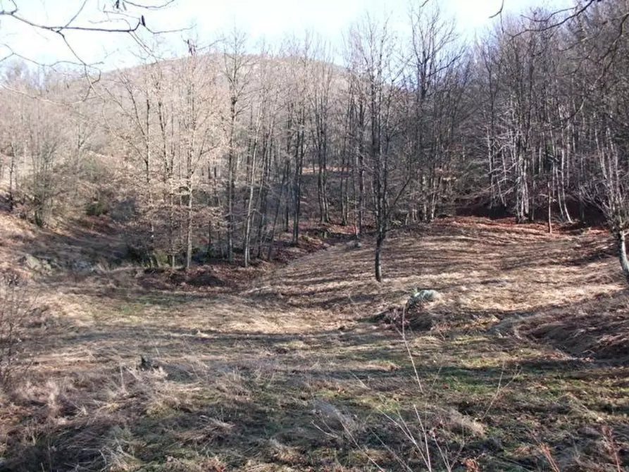 Immagine 28 di Rustico / casale in vendita  in SP542 25 a Pontinvrea