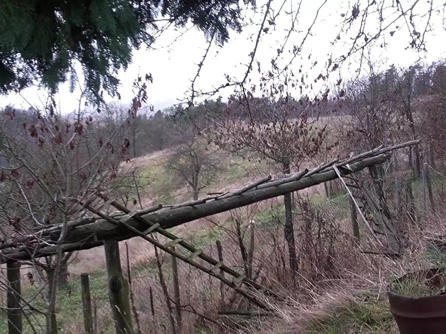 Immagine 16 di Rustico / casale in vendita  in SP210 66 a Ponzone