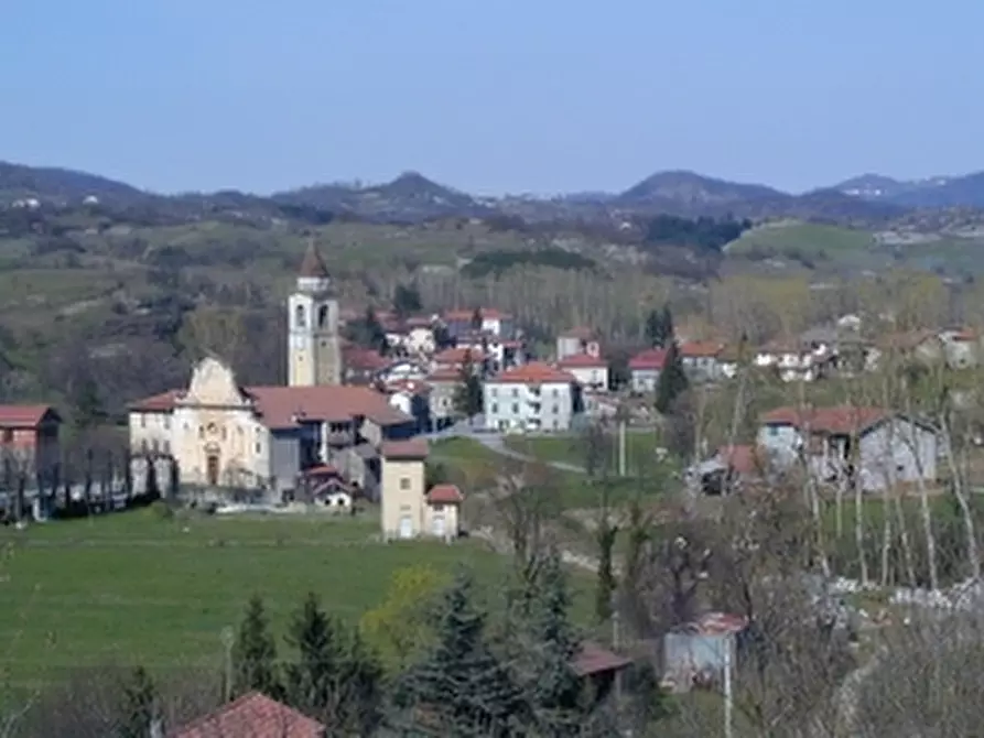 Immagine 1 di Terreno agricolo in vendita  a Mioglia