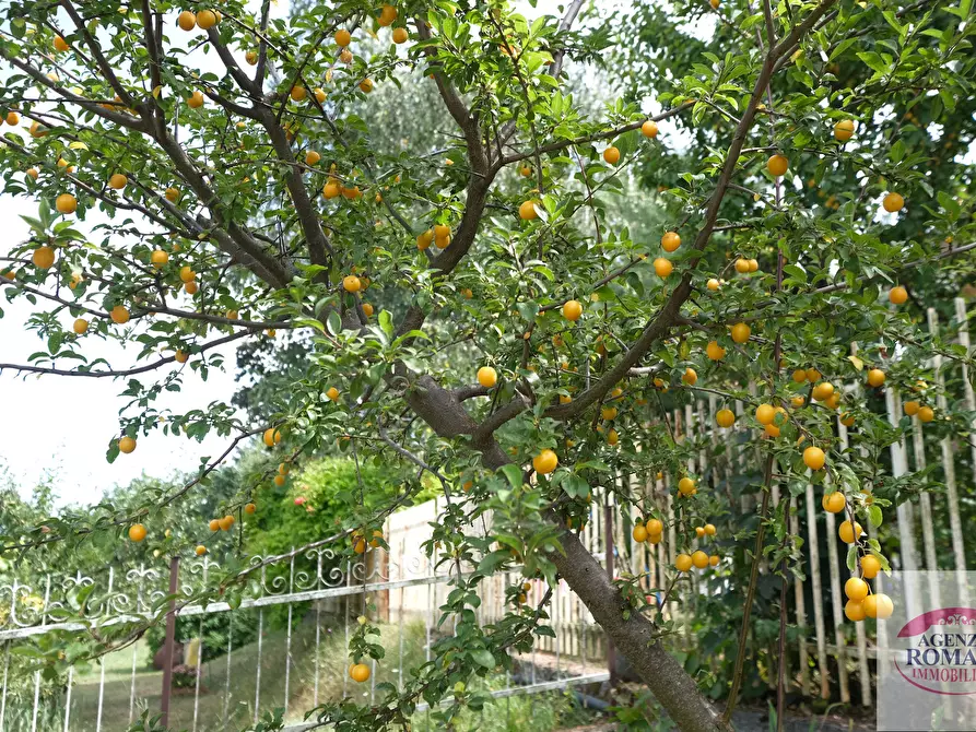 Immagine 7 di Casa indipendente in vendita  in SP210 242 a Ponzone