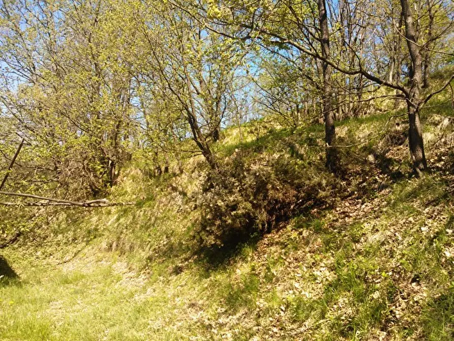 Immagine 16 di Rustico / casale in vendita  a Giusvalla