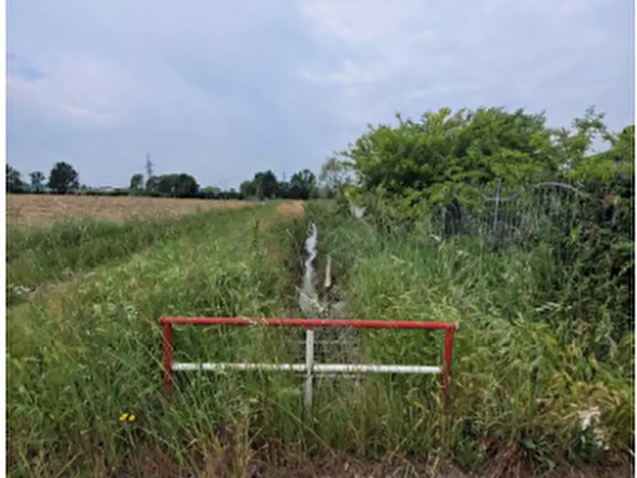 Immagine 7 di Terreno edificabile in vendita  in Via Bartolomeo Maino 4 a Alessandria