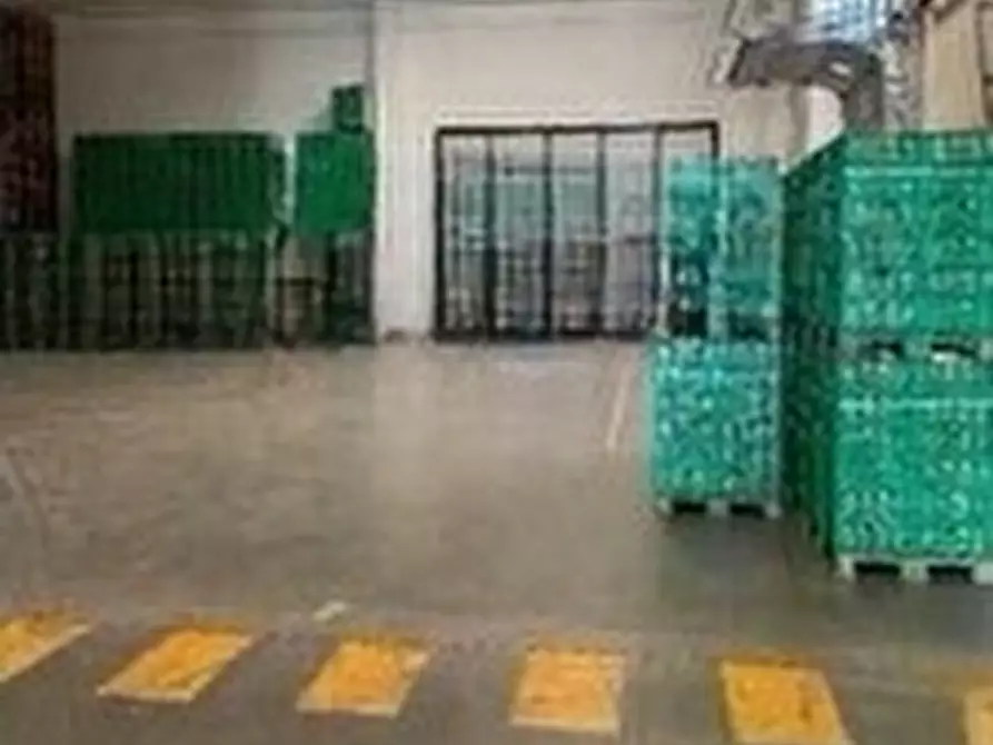 Immagine 7 di Attività artigianale in vendita  in Strada Molina 36 a Castelnuovo Scrivia