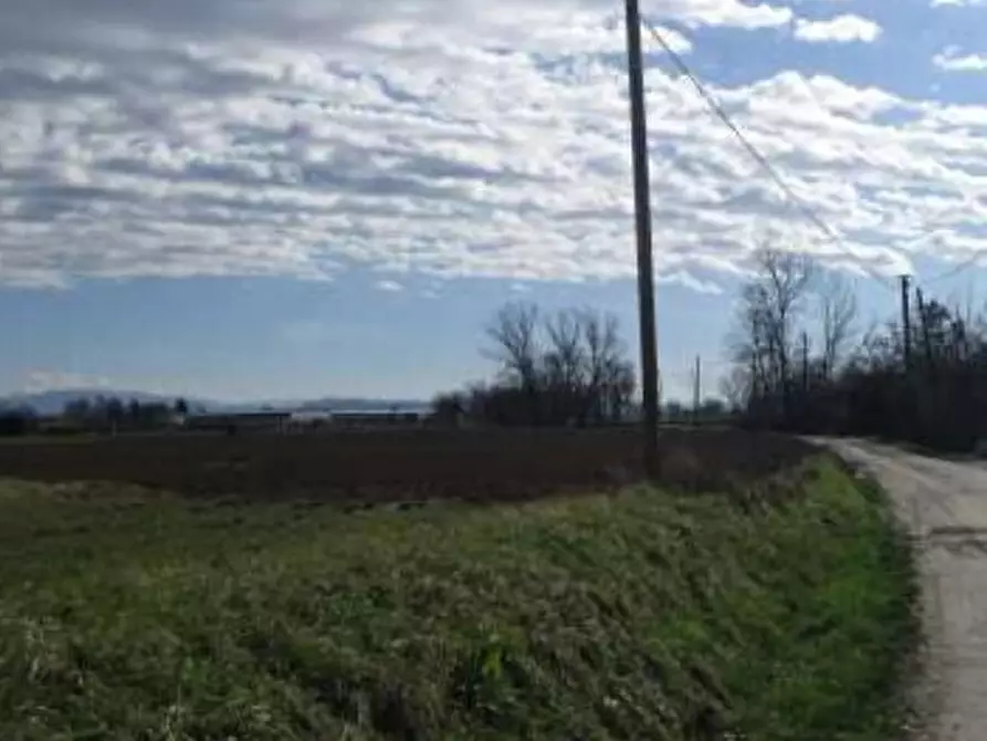 Immagine 4 di Terreno edificabile in vendita  in Strada Vecchia di Novi snc a Sale