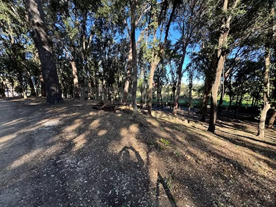 Immagine 6 di Terratetto in vendita  in Via Ombrosa 8 a Livorno