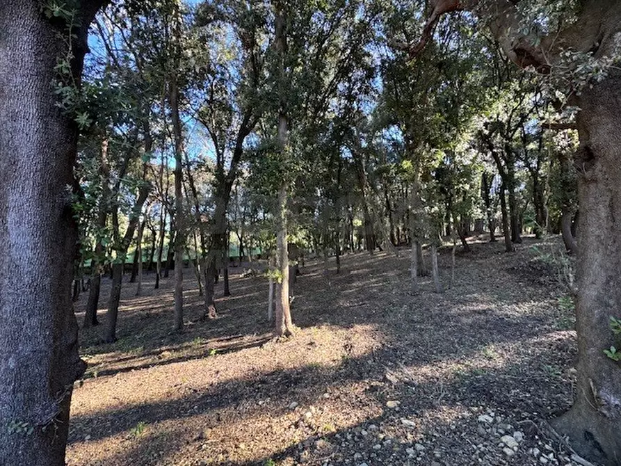 Immagine 4 di Terratetto in vendita  in Via Ombrosa 8 a Livorno