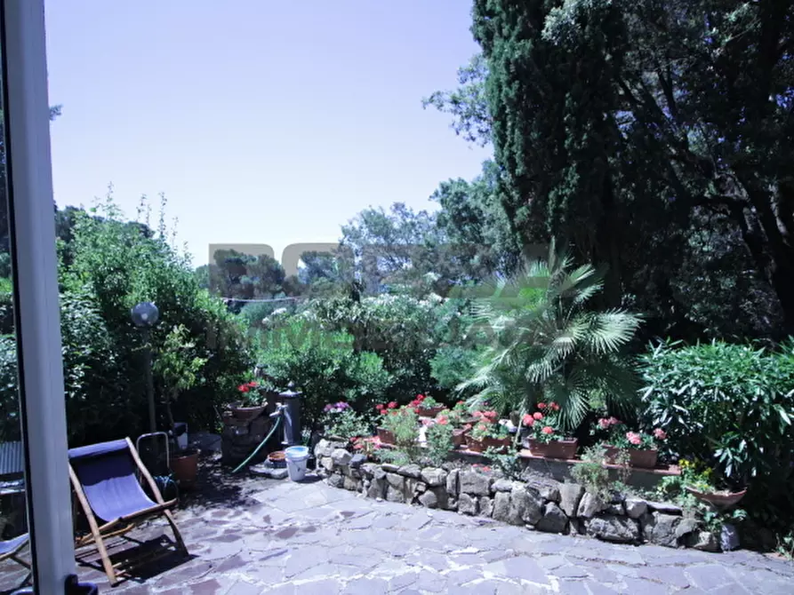 Immagine 3 di Terratetto in vendita  in Via Kaiser Parodi a Livorno