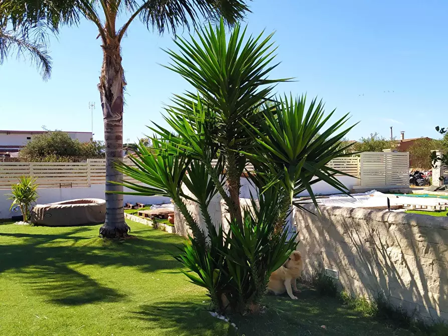 Immagine 4 di Villa in vendita  a Santa Croce Camerina