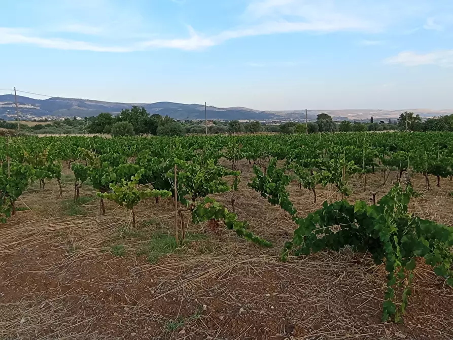 Immagine 12 di Villa in vendita  a Chiaramonte Gulfi