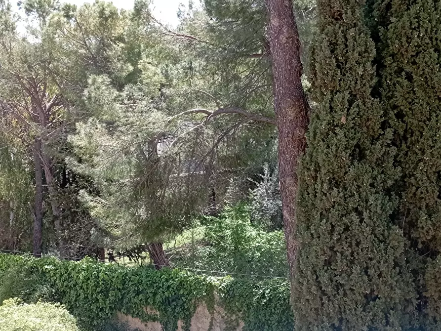 Immagine 2 di Pentalocale in vendita  a Ragusa