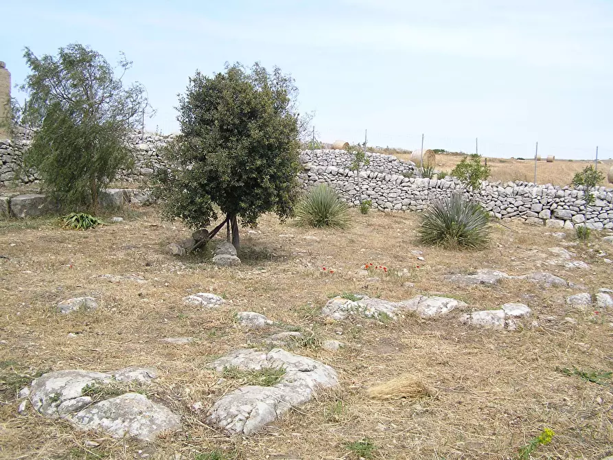 Immagine 6 di Casa indipendente in vendita  a Ragusa