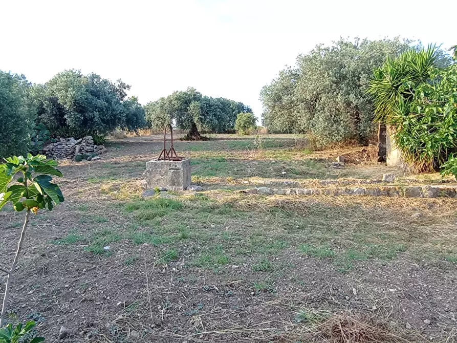 Immagine 38 di Villa in vendita  a Chiaramonte Gulfi