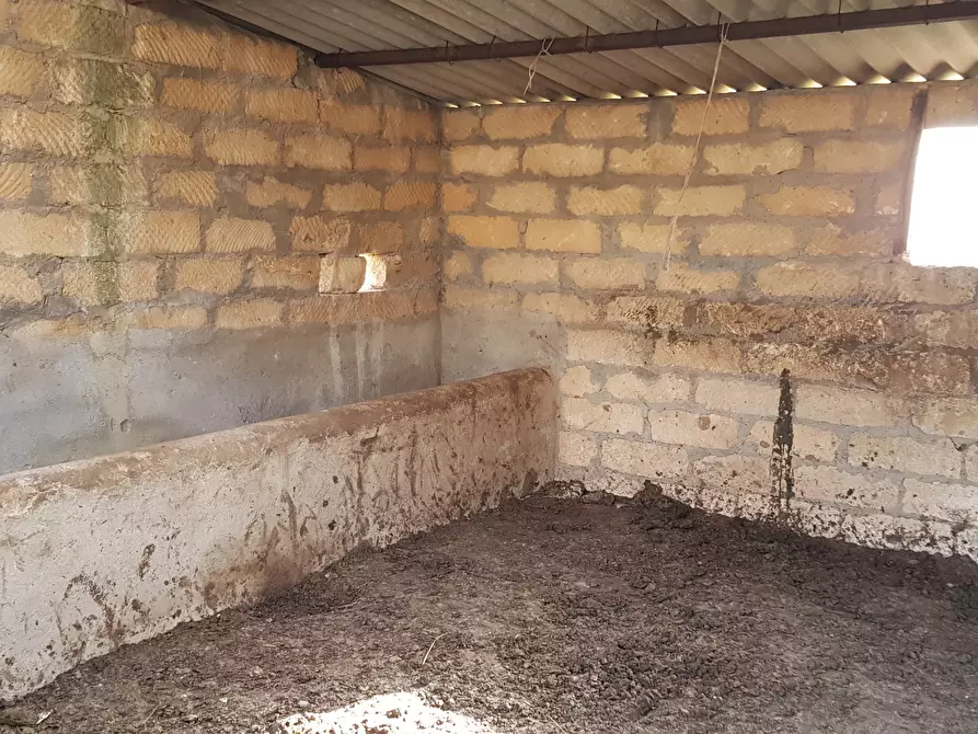 Immagine 16 di Rustico / casale in vendita  a Ragusa