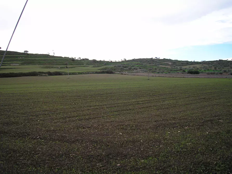 Immagine 34 di Rustico / casale in vendita  a Ragusa