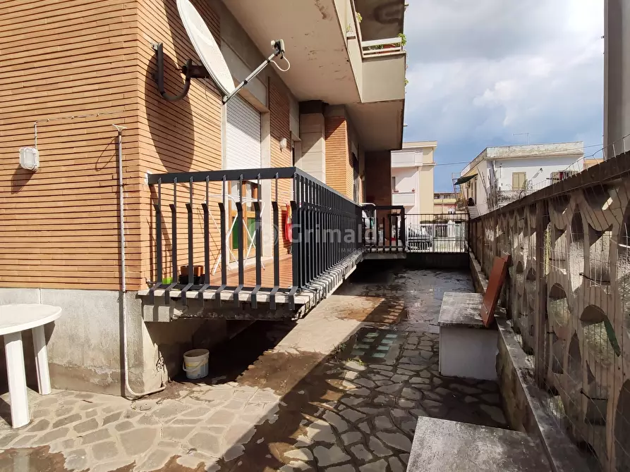 Immagine 1 di Bilocale in affitto  in Via dei Gerani 2B a Nettuno