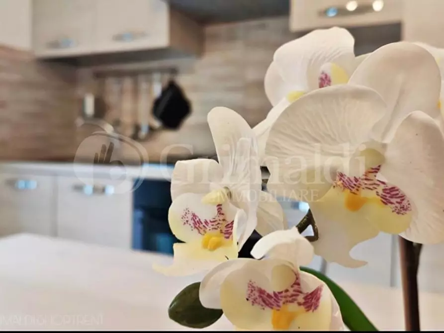 Immagine 8 di Trilocale in affitto  in Via Santa Barbara 77 a Nettuno