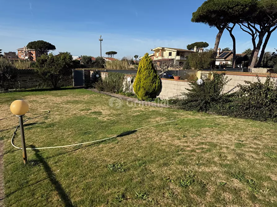 Immagine 4 di Casa bifamiliare in affitto  in Via Tagliamento 18 a Nettuno