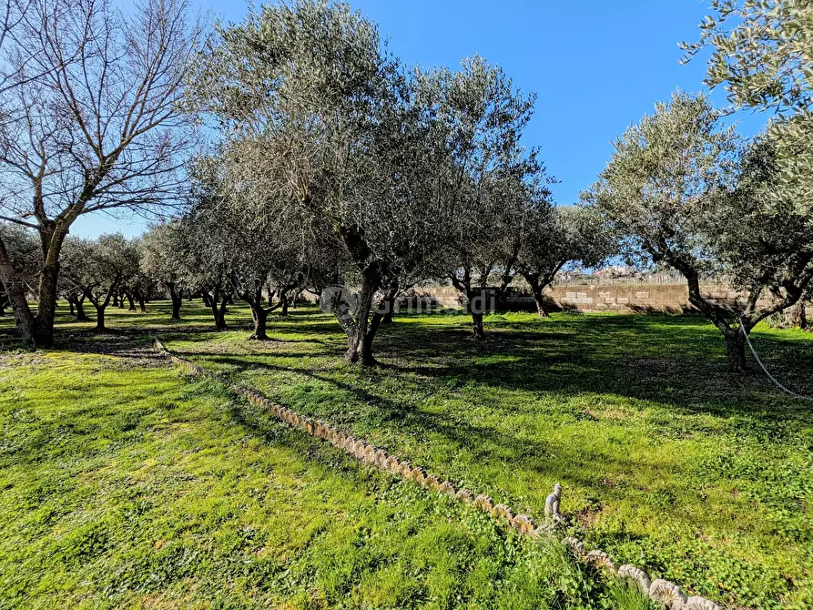 Immagine 19 di Villa in vendita  in Via Granieri 56 a Nettuno