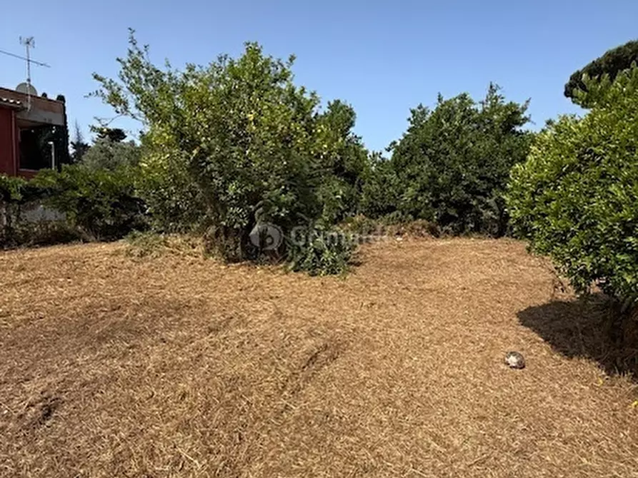Immagine 13 di Terreno edificabile in vendita  in Via Viminale a Nettuno