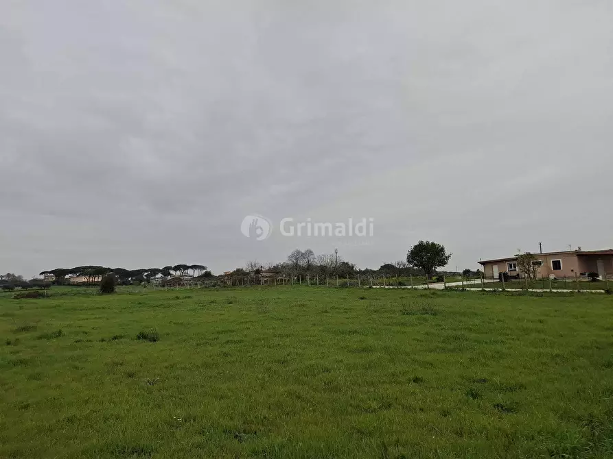Immagine 10 di Terreno agricolo in vendita  in Via del Pino a Nettuno
