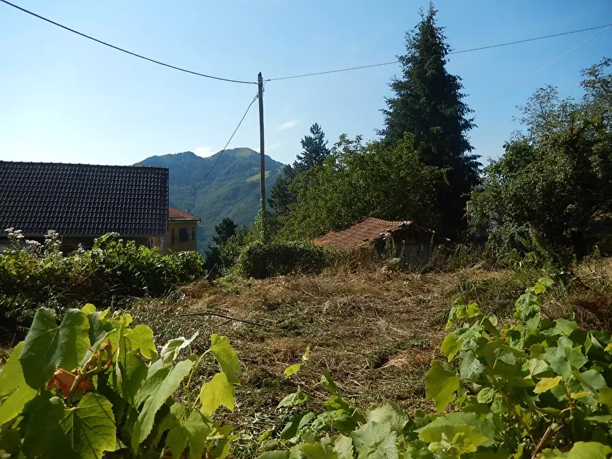 Immagine 11 di Terratetto in vendita  in Località Ghiggeri a Varese Ligure