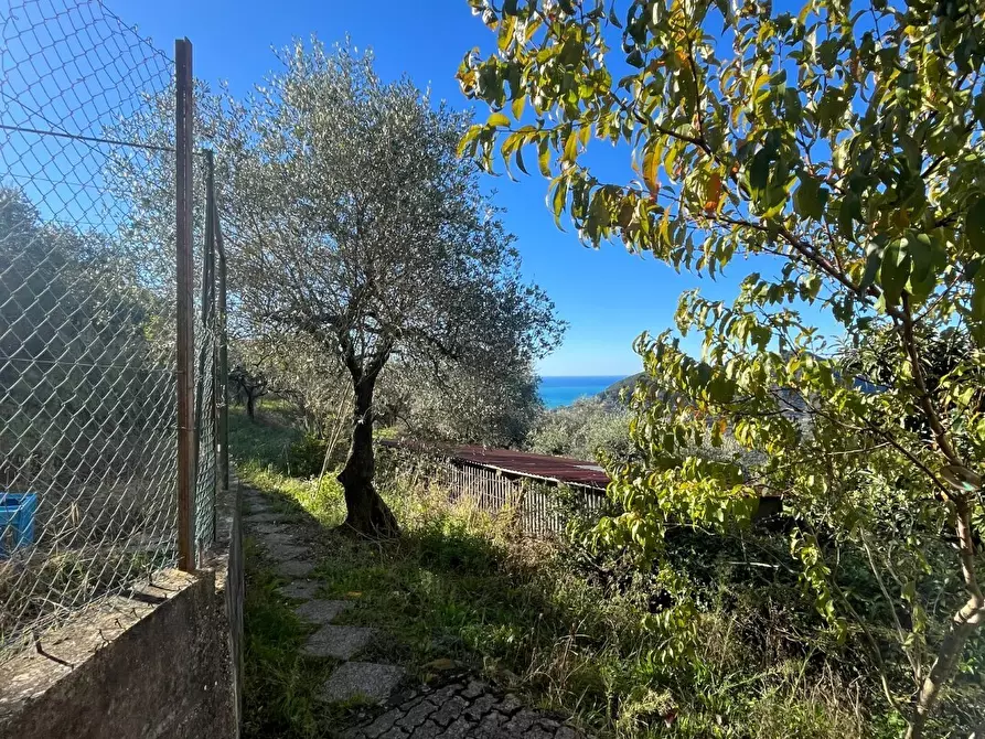 Immagine 2 di Palazzo in vendita  in Via Miramare 43 a Leivi