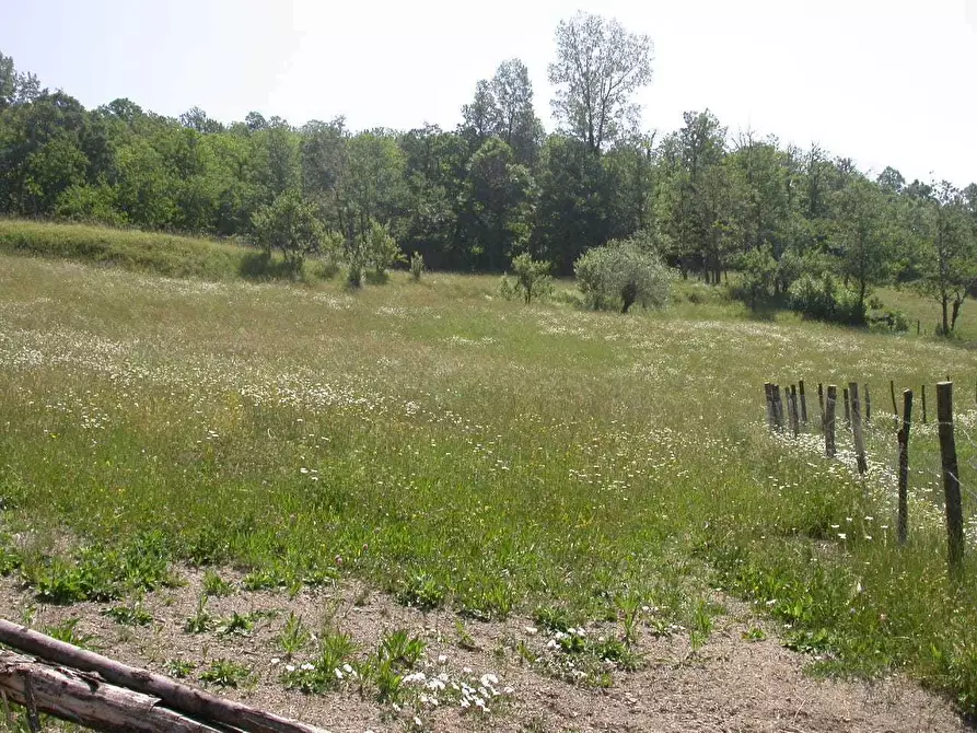 Immagine 4 di Agriturismo in vendita  in Località Cavizzano 13A a Varese Ligure