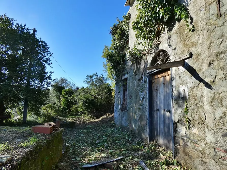 Immagine 17 di Rustico / casale in vendita  in Via Olivella Caminata 17 a Casarza Ligure