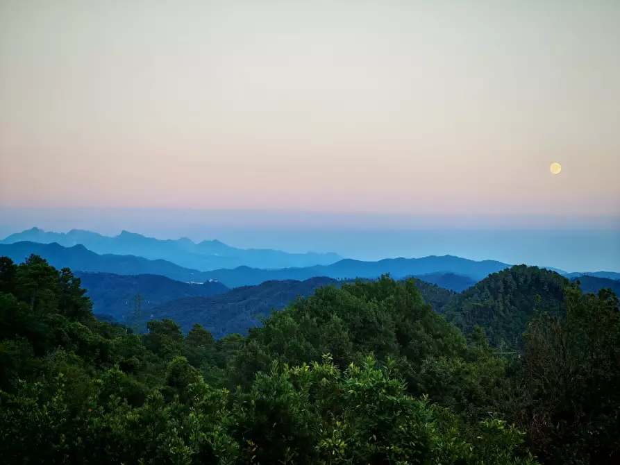 Immagine 10 di Rustico / casale in vendita  in Via Gianelli 58 a Carro