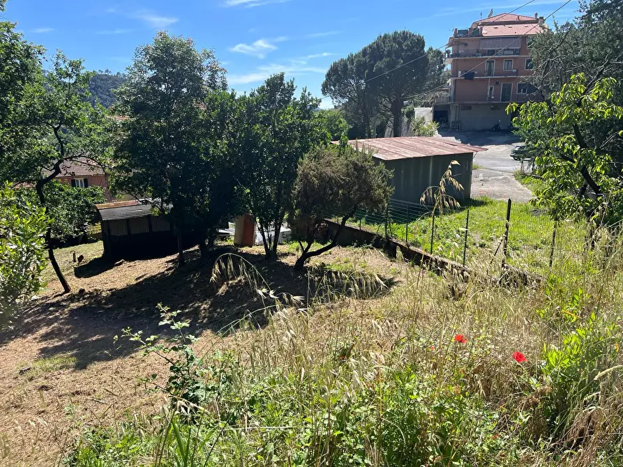 Immagine 4 di Terreno edificabile in vendita  in SP523 a Casarza Ligure
