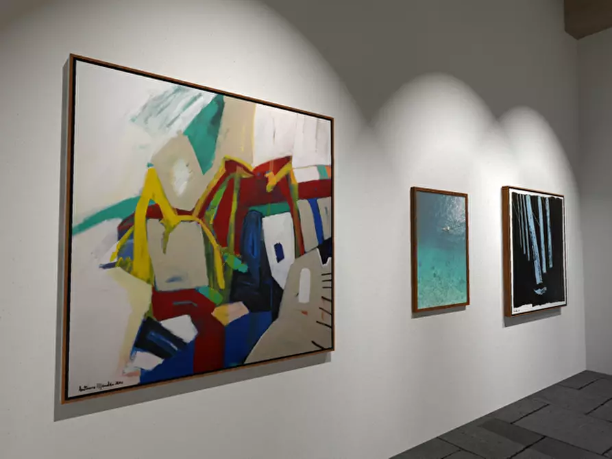 Immagine 24 di Locale commerciale in vendita  a Piombino