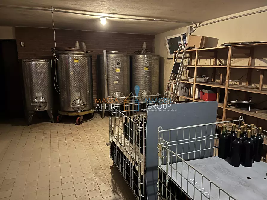 Immagine 34 di Villa in vendita  in Via San Lorenzo 70 a Massa