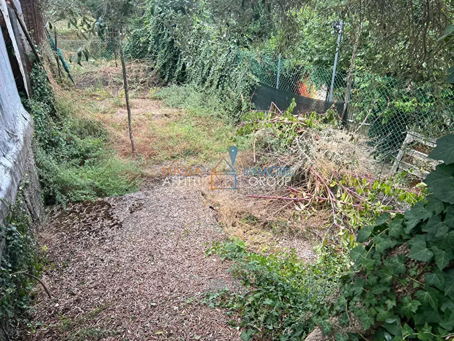 Immagine 5 di Terreno agricolo in vendita  in Via San Giuseppe Vecchio 37 a Massa