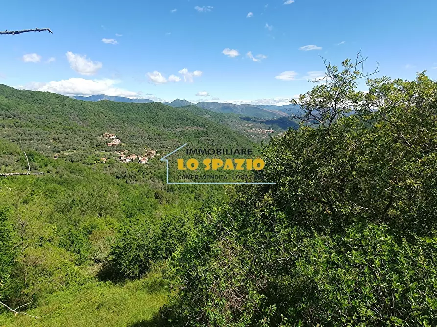 Immagine 31 di Casa indipendente in vendita  in Piazza Iv Novembre a Testico