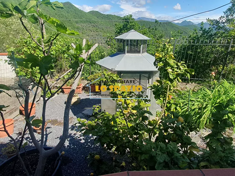 Immagine 22 di Casa indipendente in vendita  in Piazza Iv Novembre a Testico