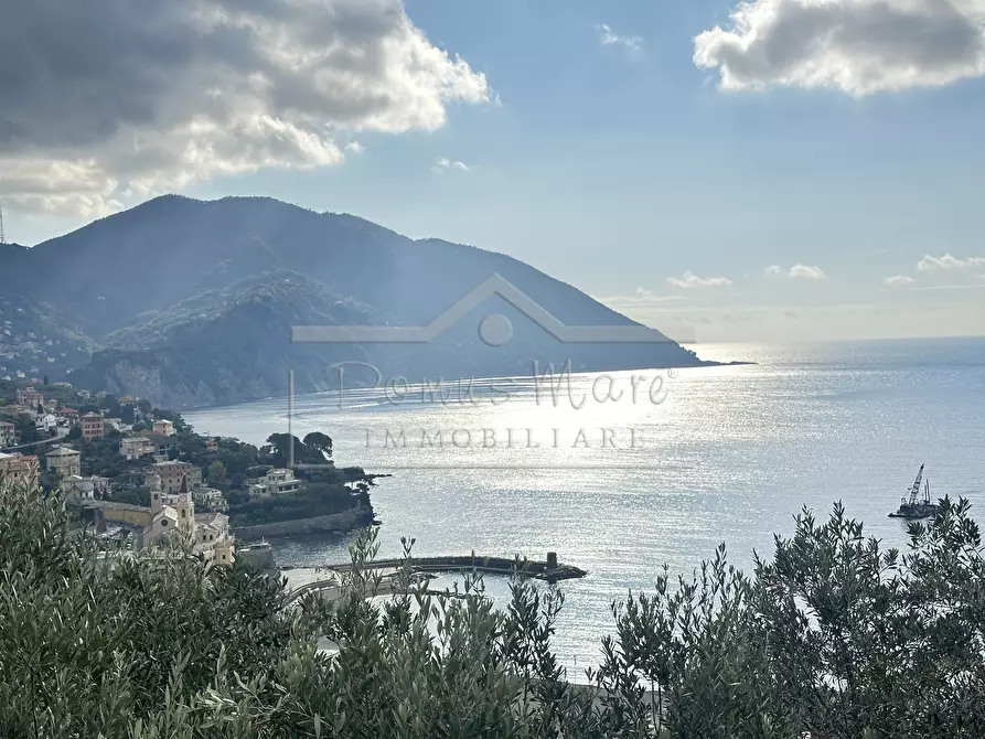 Immagine 20 di Casa indipendente in vendita  in Salvo D'Acquisto 70 a Recco