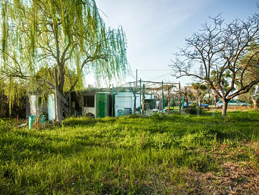 Immagine 7 di Terreno agricolo in vendita  in Via delle Sorgenti a Livorno