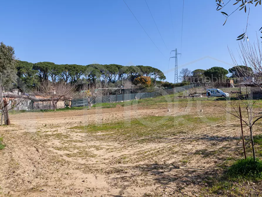 Immagine 14 di Terreno agricolo in vendita  in Via delle Sorgenti a Livorno