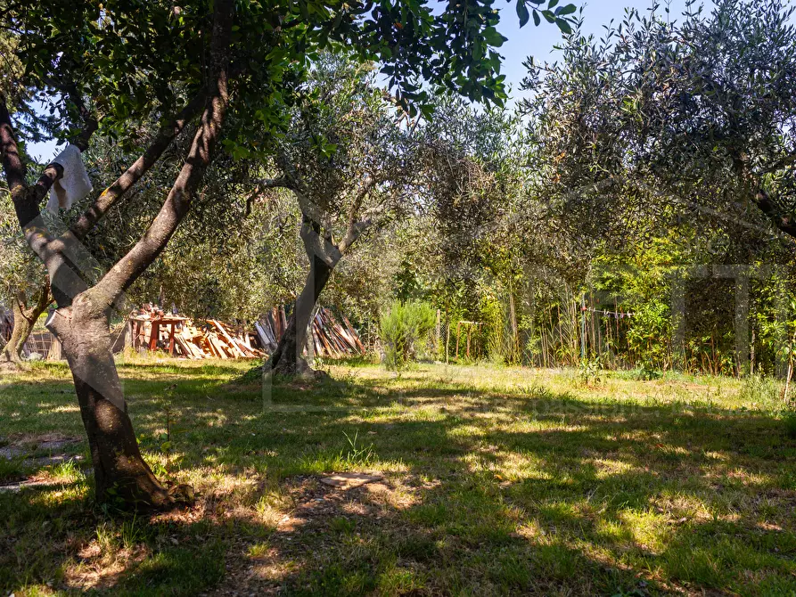 Immagine 9 di Terreno agricolo in vendita  in Via dell'Uliveta a Livorno